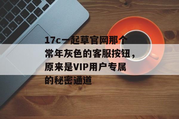 17c一起草官网那个常年灰色的客服按钮，原来是VIP用户专属的秘密通道